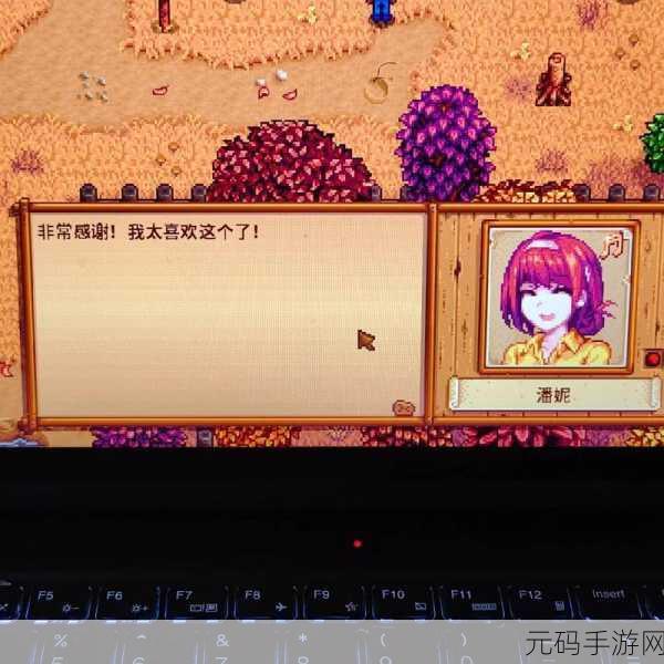 TGP星露谷物语与Steam版，正版之争背后的故事
