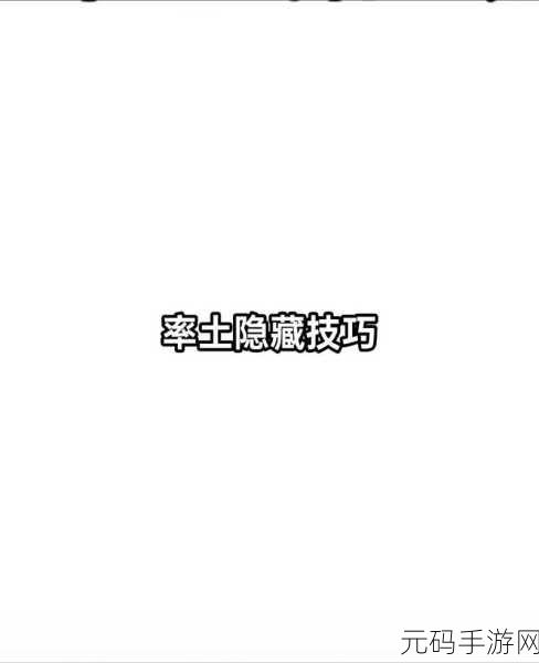 率土之滨新手启航,前期策略与技巧全揭秘