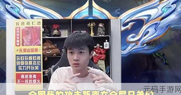 王者荣耀,射手称霸战场的秘诀全解析