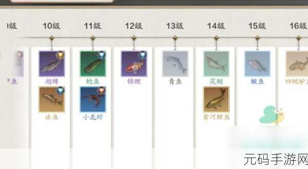 天涯明月刀手游钓鱼大赛秘籍，高效玩法全解析