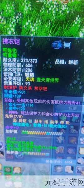 天下手游后期职业装备强化新篇章，翅膀加护属性提升全攻略