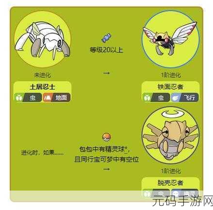 口袋妖怪剑盾 GBA 超强宠物大揭秘