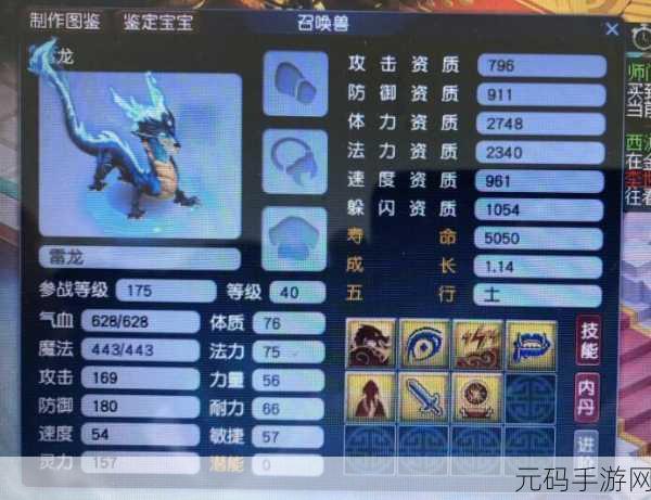 梦幻西游无双版，杀破狼宠物搭配深度剖析，打造顶尖战斗阵容秘籍