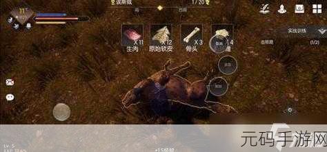 黑暗与光明手游,揭秘魔晶获取之道,助你踏上传奇冒险之旅