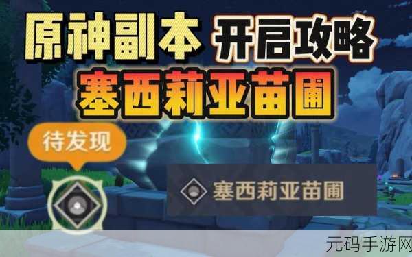 原神塞西莉亚苗圃，追寻最后一个风之灵的终极攻略