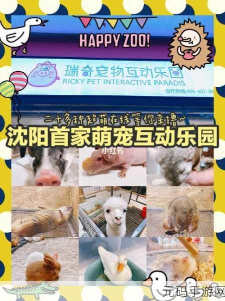 我的世界羊驼繁殖秘籍,打造你的萌宠乐园