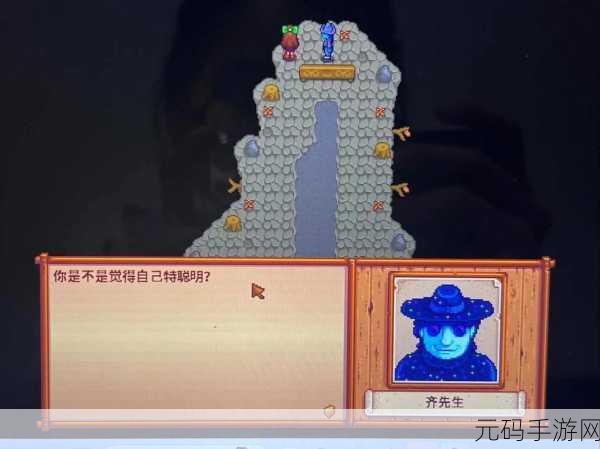 星露谷物语离婚后孩子何去何从？深度剖析情感与生活的交织