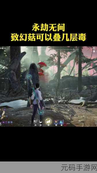 永劫无间，探寻红蘑菇的神秘藏身之处