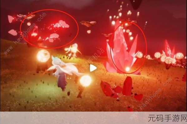 光遇破晓季探险指南,雨林红石位置全揭秘