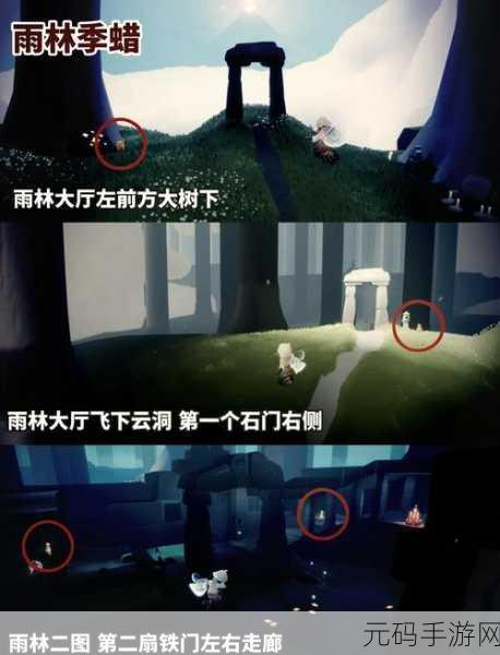 光遇破晓季探险指南,雨林红石位置全揭秘