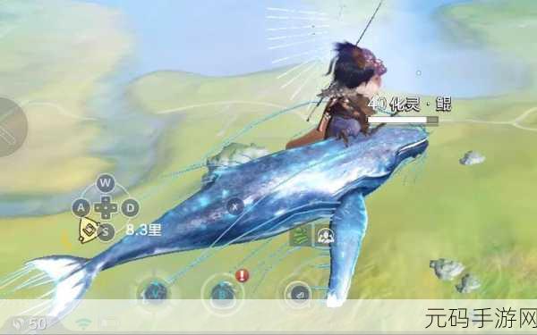 妄想山海,腾影丹获取全攻略,解锁鲲的进化之旅