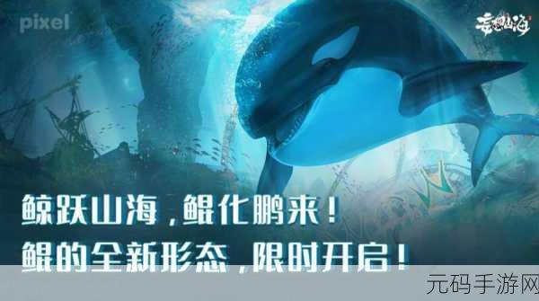 妄想山海,腾影丹获取全攻略,解锁鲲的进化之旅