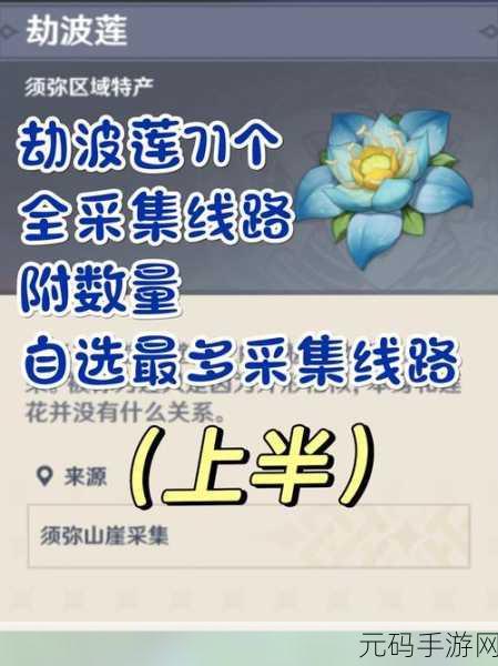 原神探索指南，劫波莲位置地点及路线全揭秘