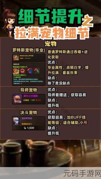 DNF 二觉宠物大揭秘,全方位剖析技能与获取途径