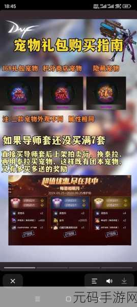 DNF 二觉宠物大揭秘,全方位剖析技能与获取途径