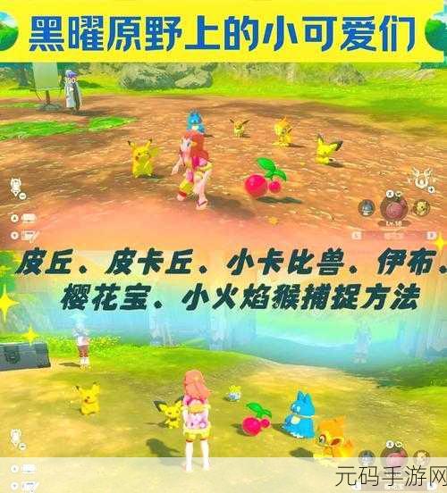 宝可梦阿尔宙斯探险，揭秘小卡比兽的捕抓秘境