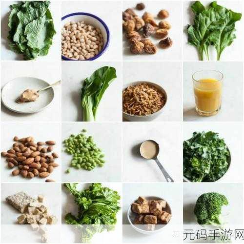 伊洛纳手游，食材装备与食物装置的深度解析