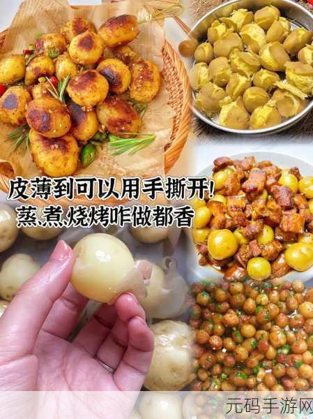 迷你世界土豆种植秘籍，打造你的丰收庄园