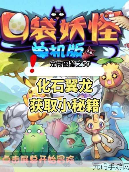 伊洛纳手游,异次元胶囊使用及宠物捕捉全攻略