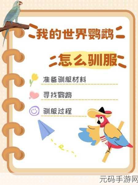 我的世界中国版鹦鹉驯服指南,探索丛林伙伴的奇妙之旅