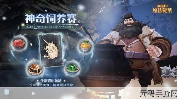 哈利波特魔法觉醒,混乱对决玩法全揭秘,攻略助你登顶荣耀