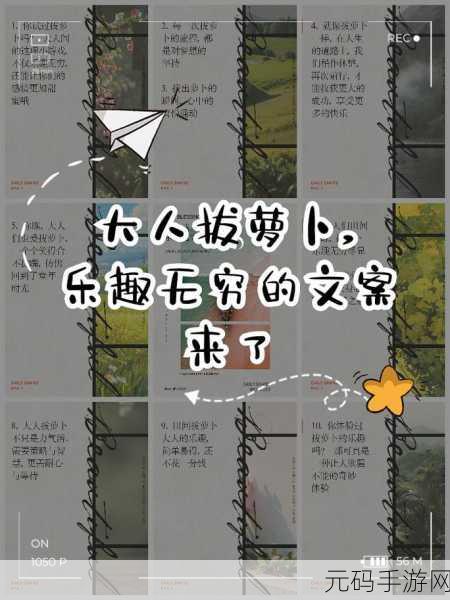 拔萝卜全程不该盖被子:1. 拔萝卜的乐趣与坚持:不盖被子的启示