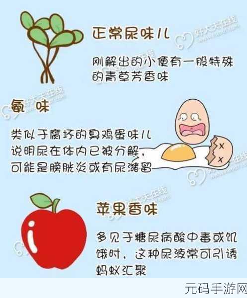 尿在肚子里不能流出来肉：1. 尿液滞留的潜在危害与解决方法探讨