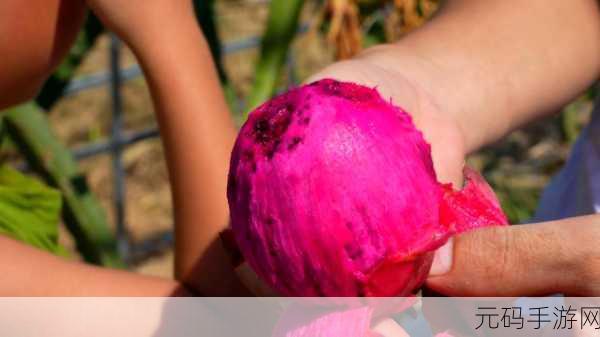 苏家有女黄心火龙果：1. 《苏家有女：火龙果的甜蜜成长记