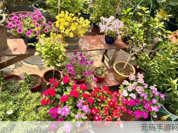 男人会亲你的小花园时代表什么:1. 当男人触碰你的小花园,他在传达什么情感?