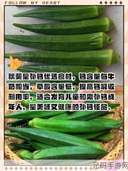 丝瓜草莓秋葵污下载旧版网址免费:1. 免费获取丝瓜草莓秋葵污旧版下载资源