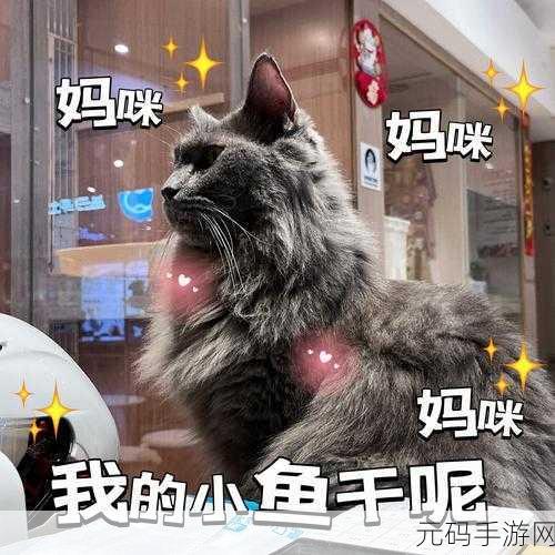 小森生活创意无限,揭秘猫碗制作秘籍,打造专属萌宠乐园