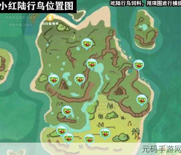 创造与魔法,云斑鹦鸟位置大揭秘 分布详情全掌握
