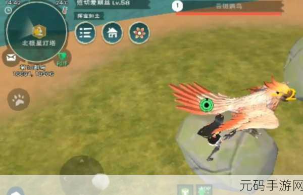 创造与魔法,云斑鹦鸟位置大揭秘 分布详情全掌握
