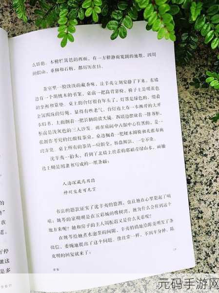 卫老汉与淑蓉第一次：卫老汉与淑蓉的奇妙邂逅：命运交织的故事