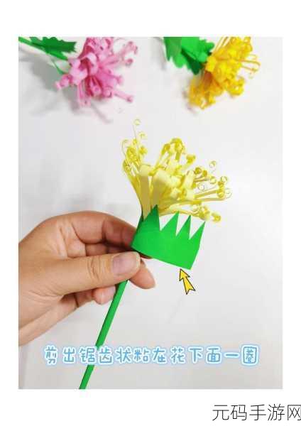 六年级菊花能塞几支棉签：1. 六年级菊花中的棉签数量探索