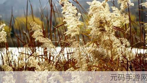 田福和母亲在芦苇中的对话：1. 田福与母亲：芦苇间的爱与思念