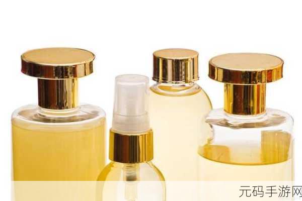 精华区二区区别：1. 精华区与二区的独特魅力探秘