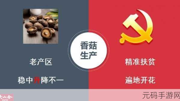 精产国品一二三产区区别在哪：1. 精产国品一二三产区的特征与发展潜力分析
