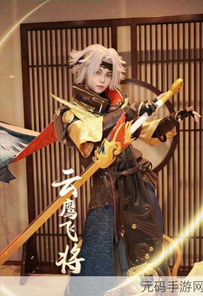 王者荣耀曜云鹰飞将,购买价值深度剖析
