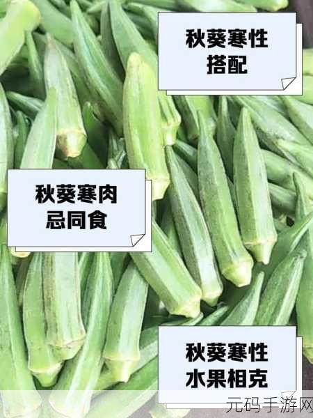 草莓樱桃丝瓜绿＊＊秋葵免费版：1. 草莓樱桃丝瓜绿，秋葵的美味探索之旅