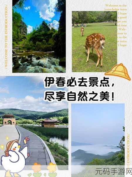 伊春园2023入口直达任意大片自由搜索：1. 探索伊春园的自然之美与生态奇观