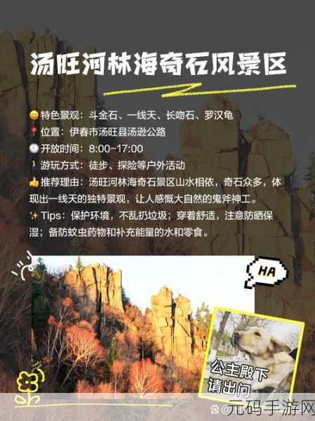 伊春园2023入口直达任意大片自由搜索：1. 探索伊春园的自然之美与生态奇观