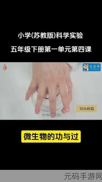 我成了生物课性实验的教具：1. 探索生物课程中的性别教育创新工具