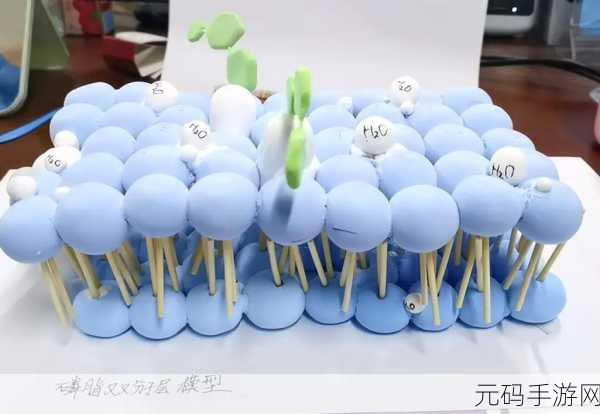 我成了生物课性实验的教具：1. 探索生物课程中的性别教育创新工具