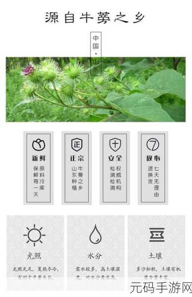 揭秘精产国品一二三产品:1. 揭秘精产国品:探索优质产品的背后故事