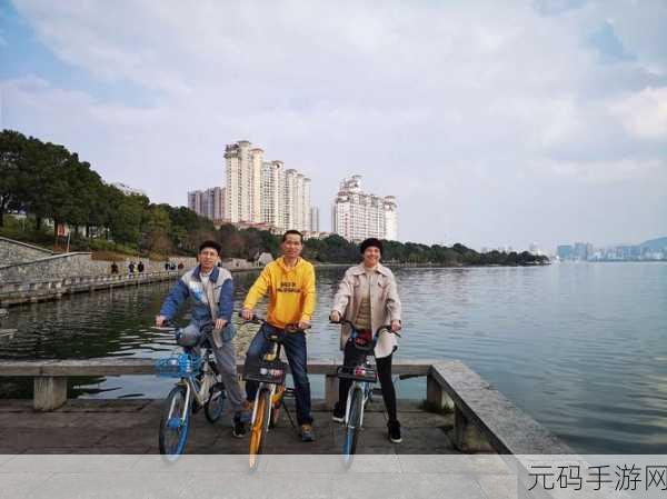 岁岁常欢愉(校园)林岁岁贺景瑞:1. 《岁岁常欢愉:校园生活的新篇章