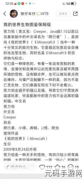 我的世界,深入解析熔岩苦力怕的神秘力量