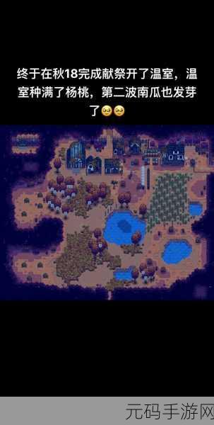 星露谷物语新探险,姜岛美人鱼任务全揭秘