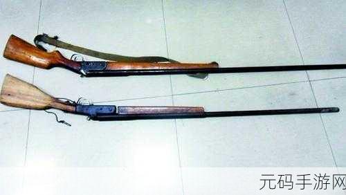 一杆大枪满屋扫:1. 一枪在手,扫遍满屋的无畏勇气