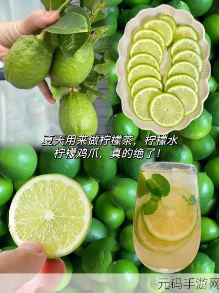 青柠高清视频在线观看BD视频资源泄露:1. 青柠高清BD视频资源泄露背后的真相揭秘
